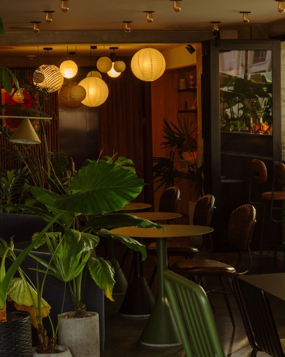 Plantas y lámparas de papel en el salón de Bacán